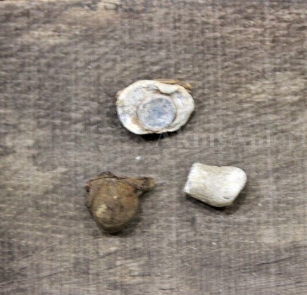 Click here to see the details of this item