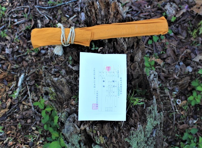 Click here to see the details of this item