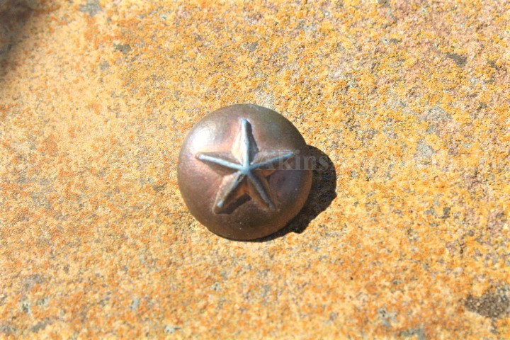 Click here to see the details of this item